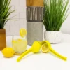 BergHOFF CooknCo 8" Cast Aluminum Manual Lemon Squeezer -BergHOFF Store GUEST c45dcc18 22f5 4bb9 b746 1d64e10cbbaa